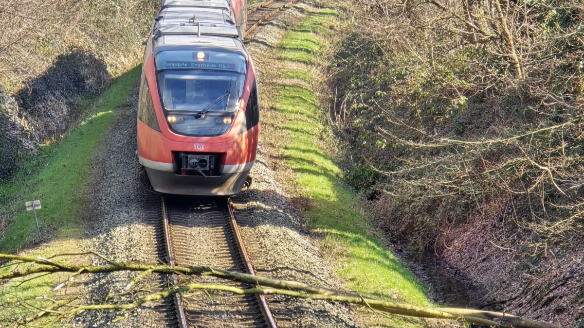 20250305 Spoorlijn Enschede Gronau boom Pro Rail NS trein