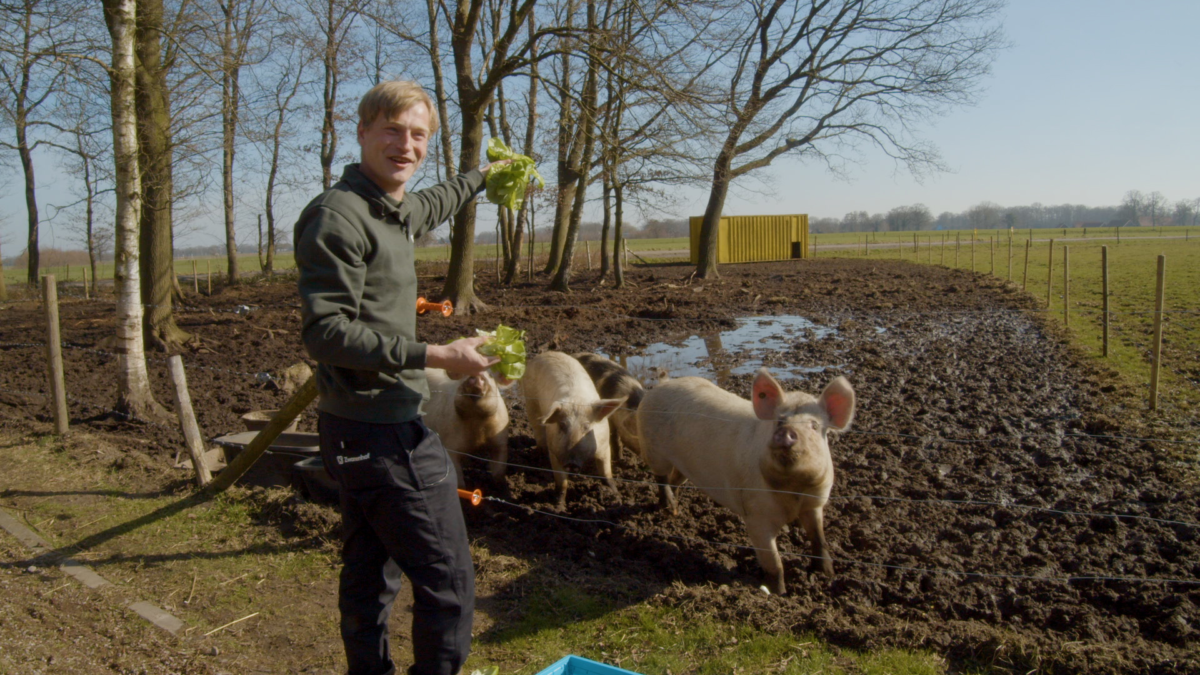 Dennis Jansen bij de varkens