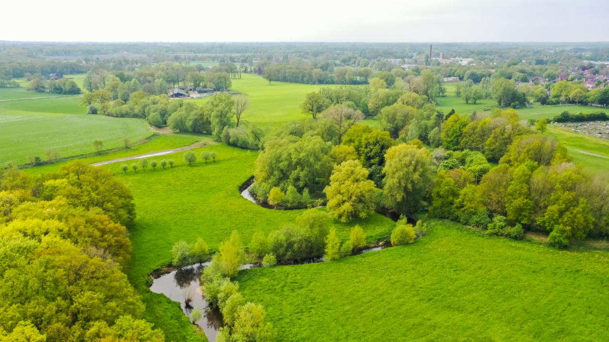 Droneshots Dinkel Groen Losser Buitengebied