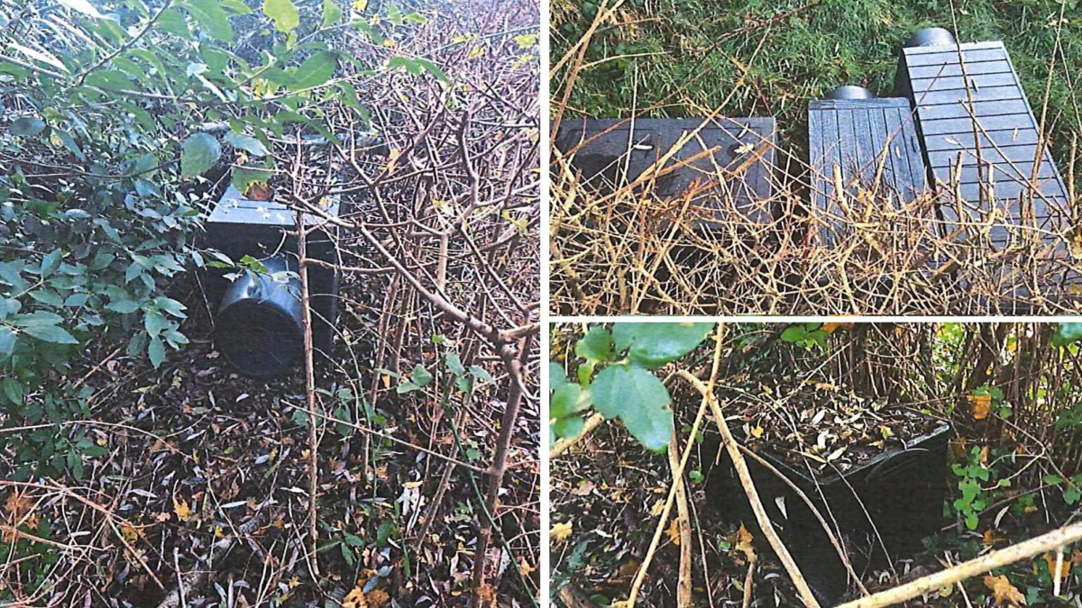 20241203 Shelters Cromhoffpark katten zwerfkatten Gemeente Enschede