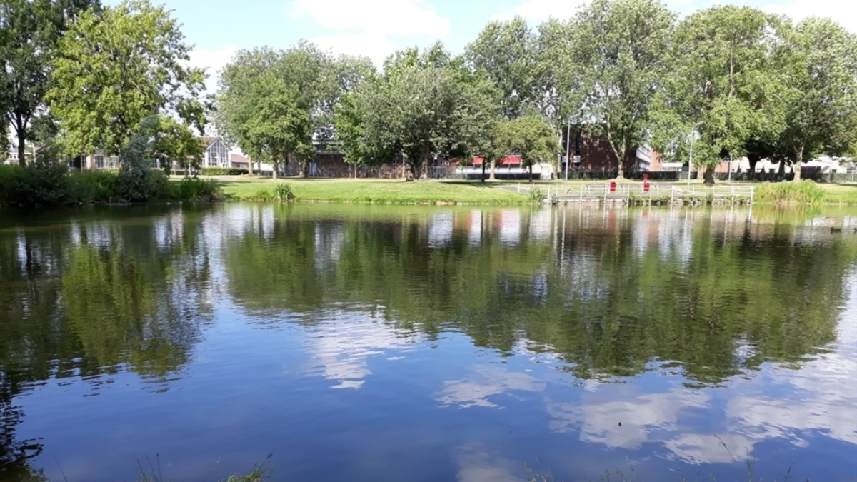Vijver tichelpad