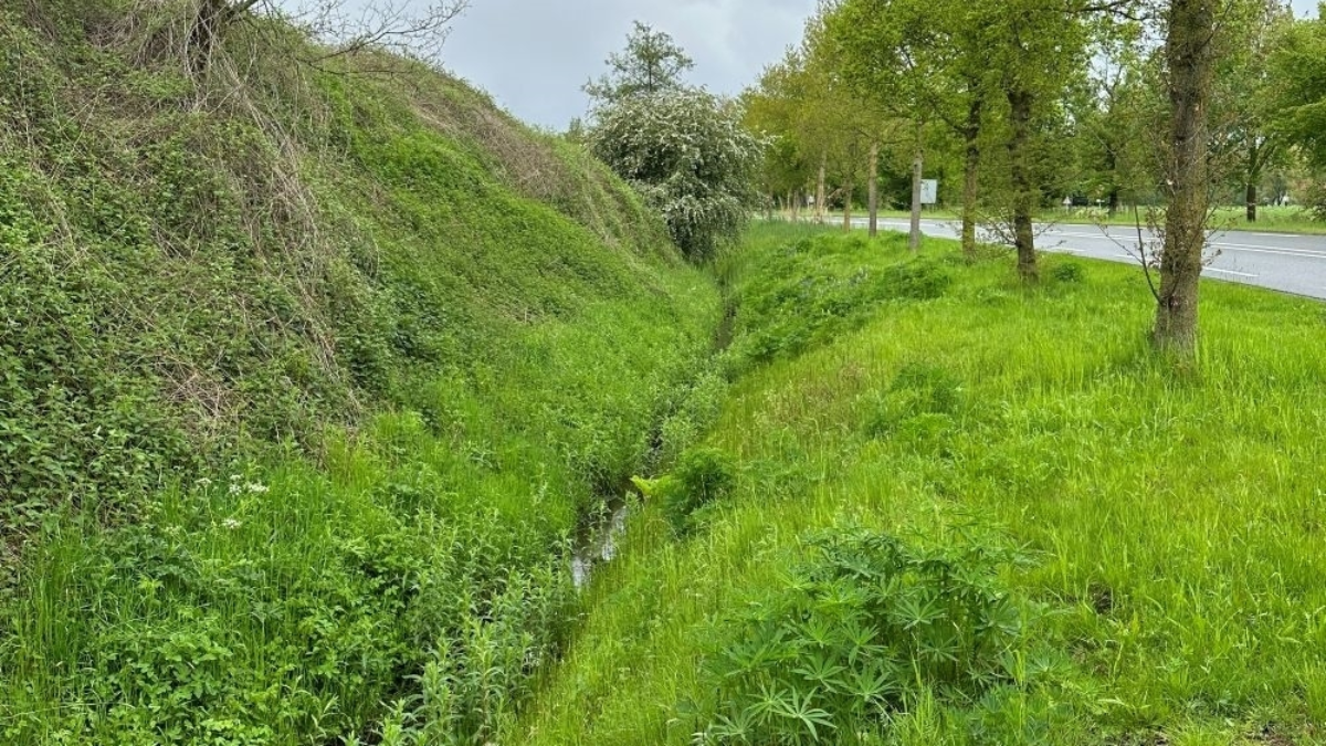Beekje nabij luttermolenveld