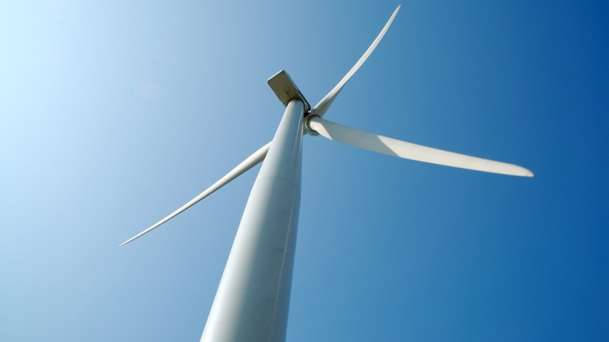 50 windmolen