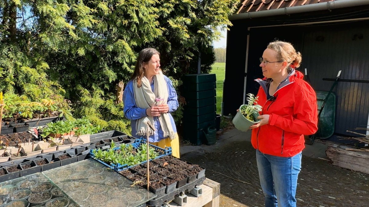 20250707 klimaatburgemeester bloemen