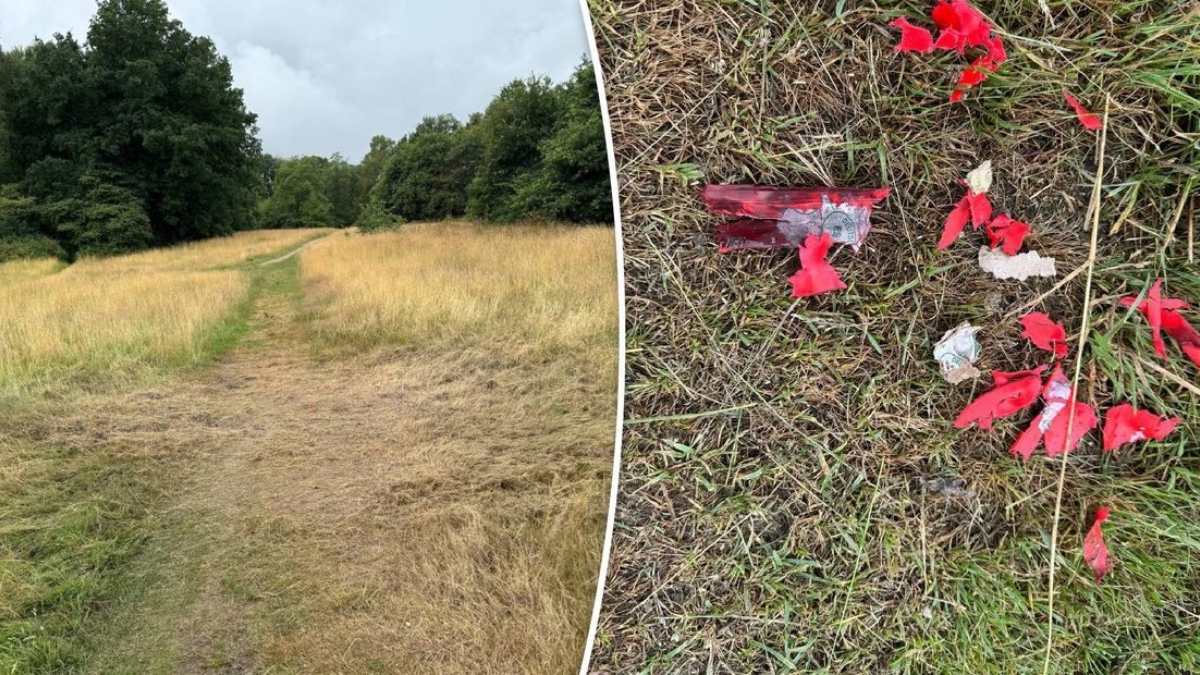 20250707 knal Enschede thumb RTV Oost