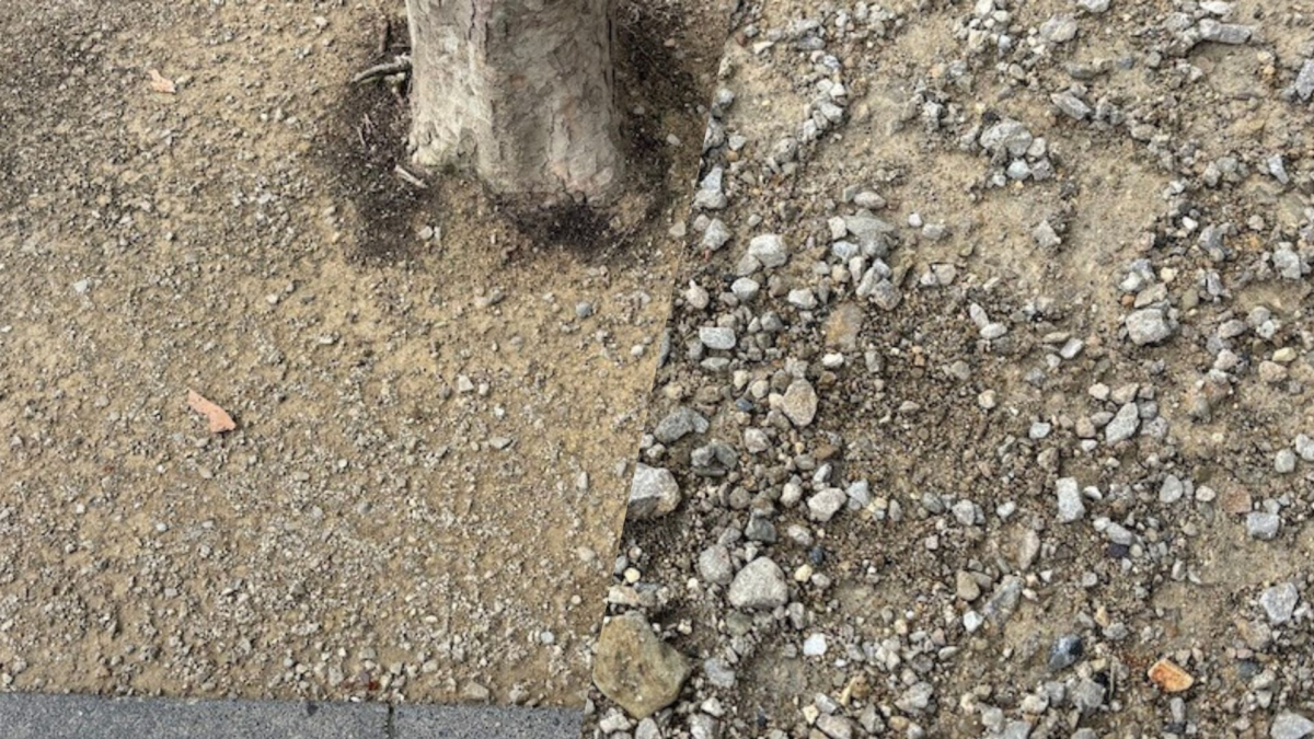 20250707 IMG 7927 halfverharding bodemverharder staalslakken beursstraat container