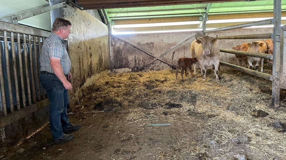 Erve groot avest boerderij landgoed twickel 2 foto gerda minkjan