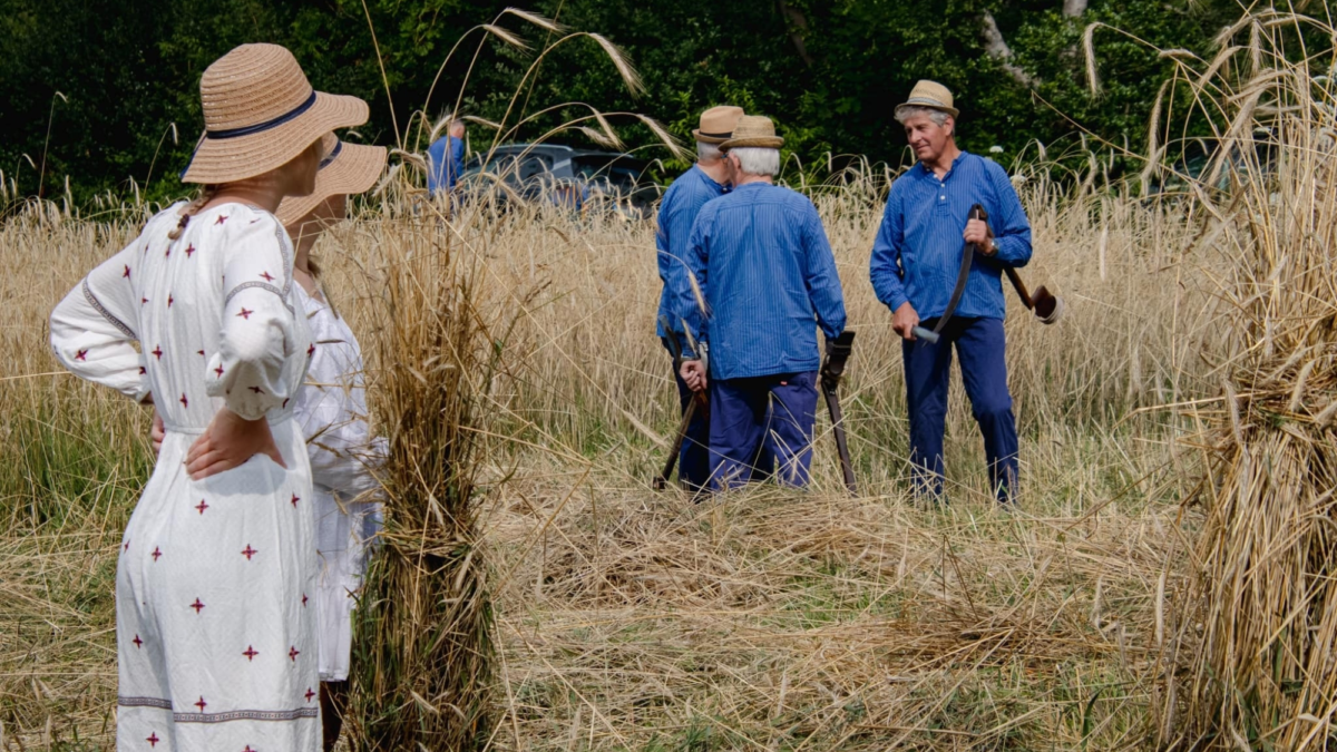 20250711 oogstdag bornerbroek 2024 1