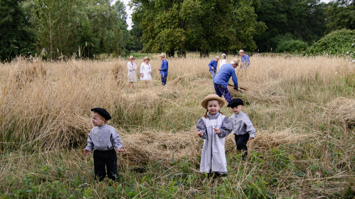 20250711 oogstdag bornerbroek 2024