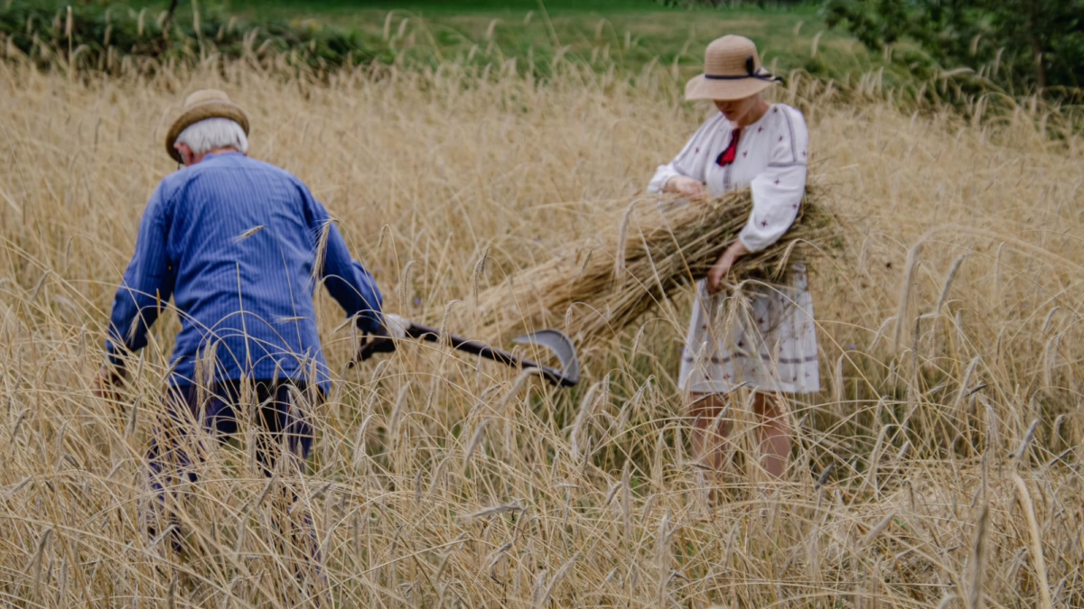 20250711 oogtdag bornerbroek 3