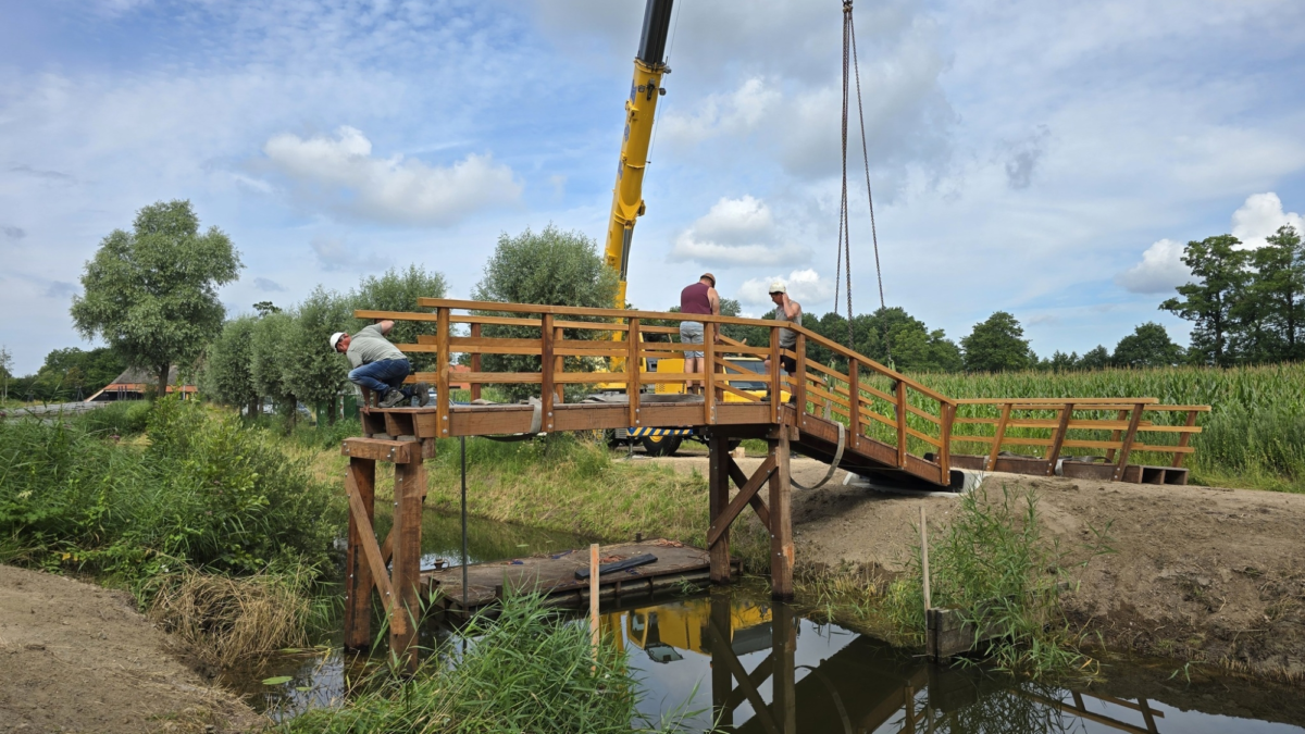 01 517407921 3245355068973208 5893400127454653598 n