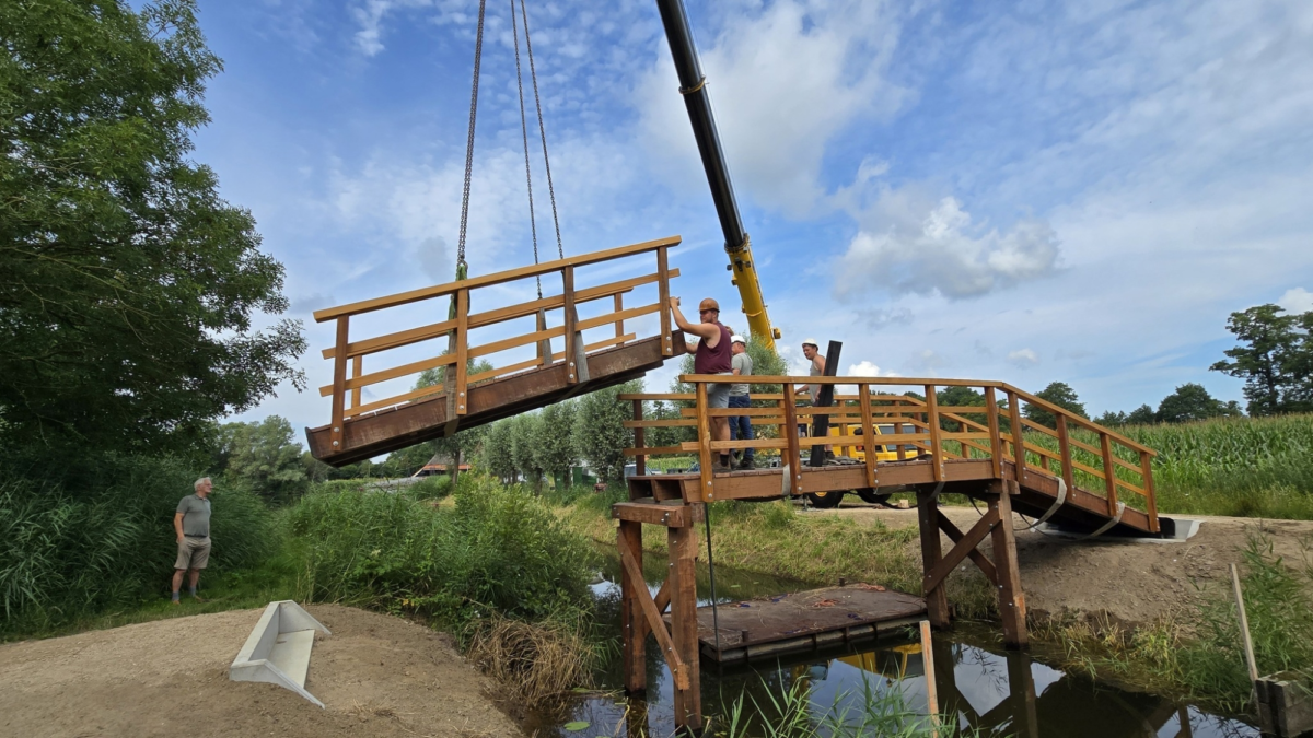 02 518241997 3245354935639888 3077176351264819791 n