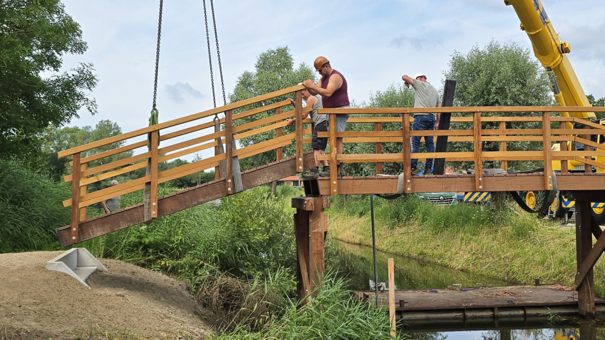 03 514334847 3245355272306521 9059413399023626232 n