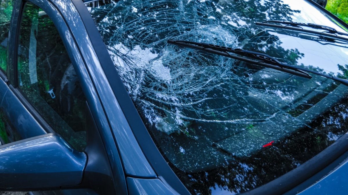 910ba28c e0ad 4bf7 9e83 b9df30319cbc