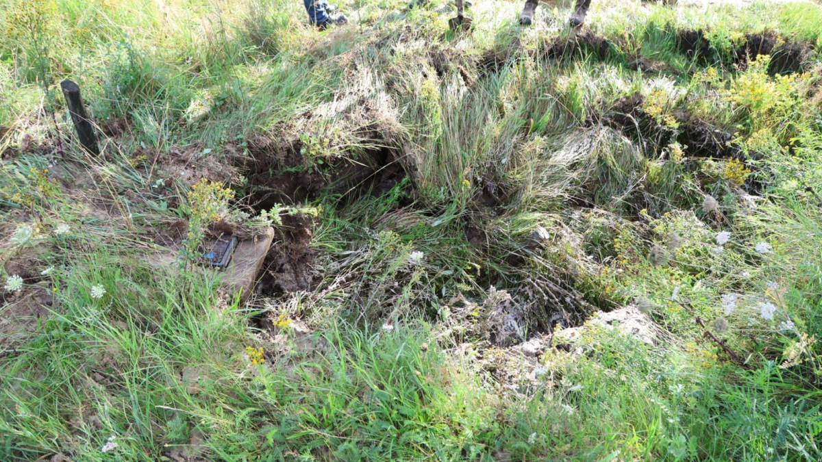 Whats App Image 2025 07 29 at 08 38 08 1