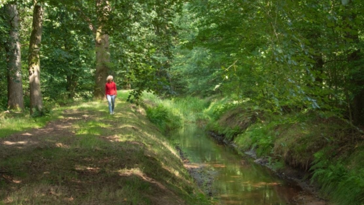 Landschap overijssel het oosterveld