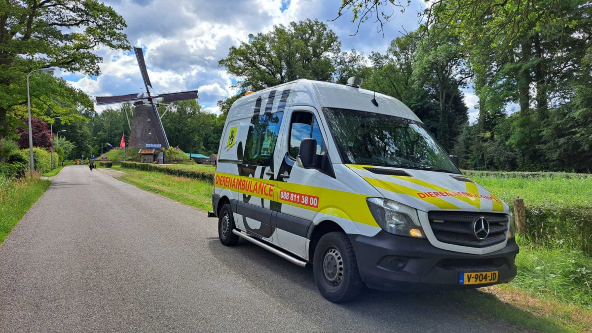 Dierenambulance 1