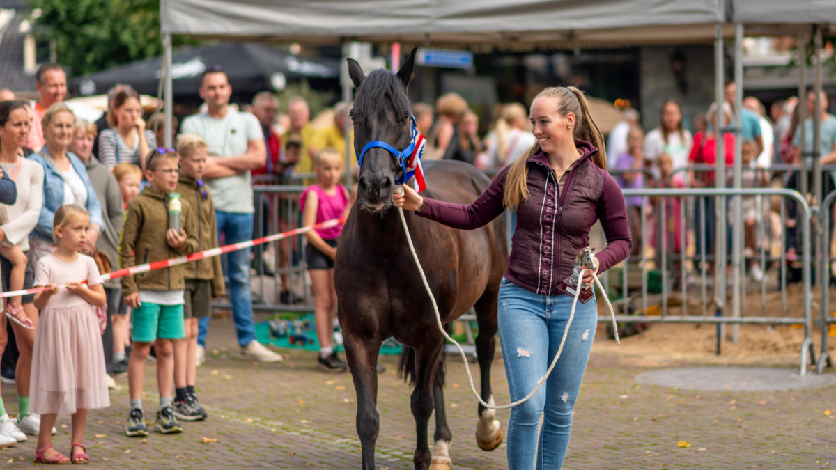 20250807 PAARDENMARKT ENTER FOTO 20250807 foto D250807 T100814 N8081