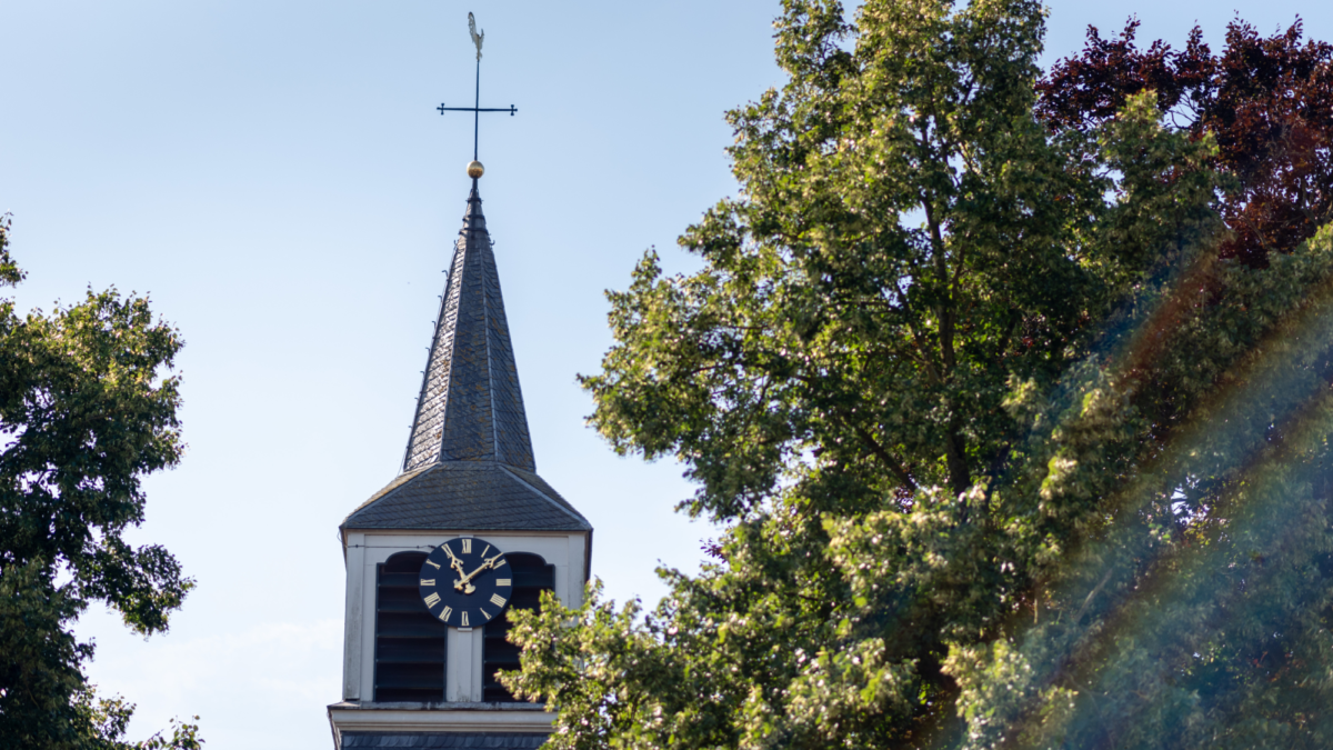 20250807 PAARDENMARKT ENTER FOTO 20250807 foto D250807 T110848 N8142