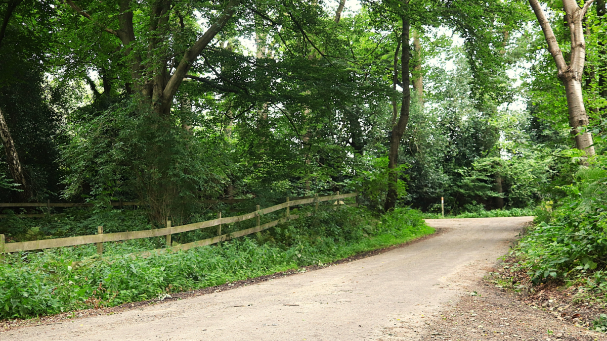 Omgevingsvisie rondweg Siemertweg