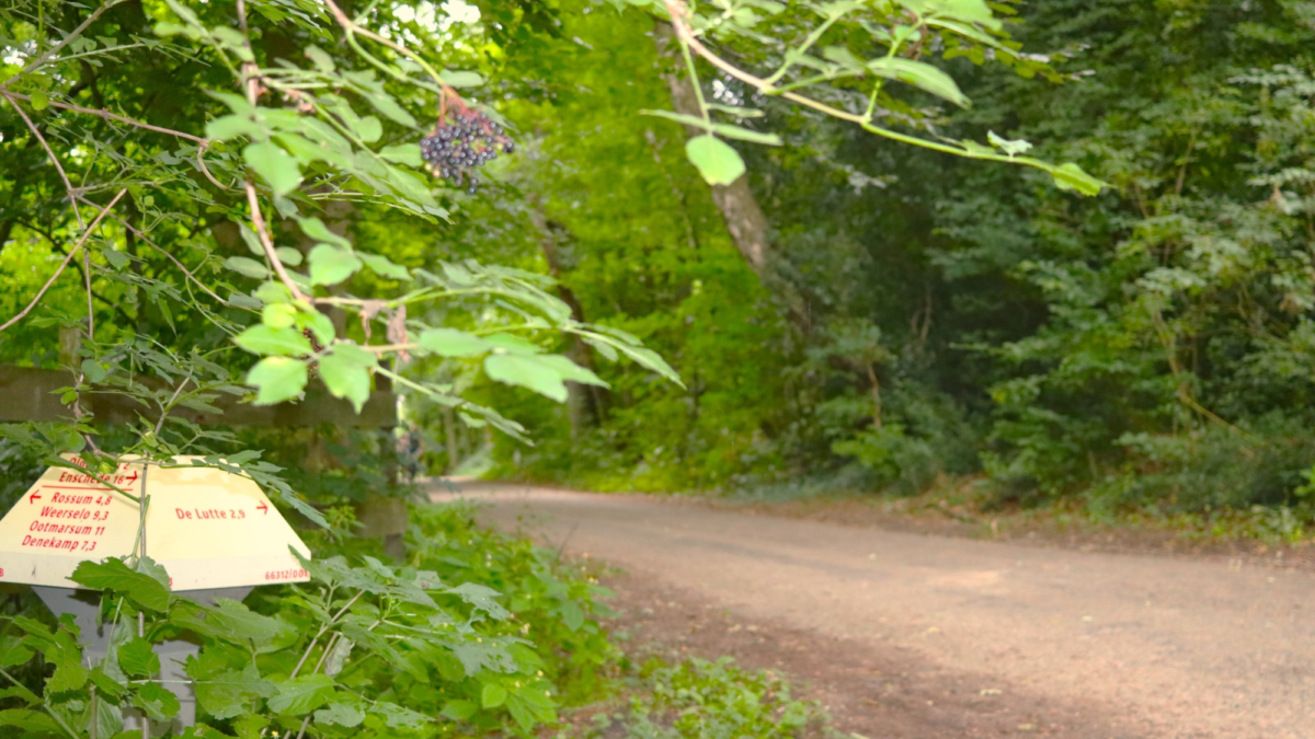 Omgevingsvisie rondweg Tankenberg 2