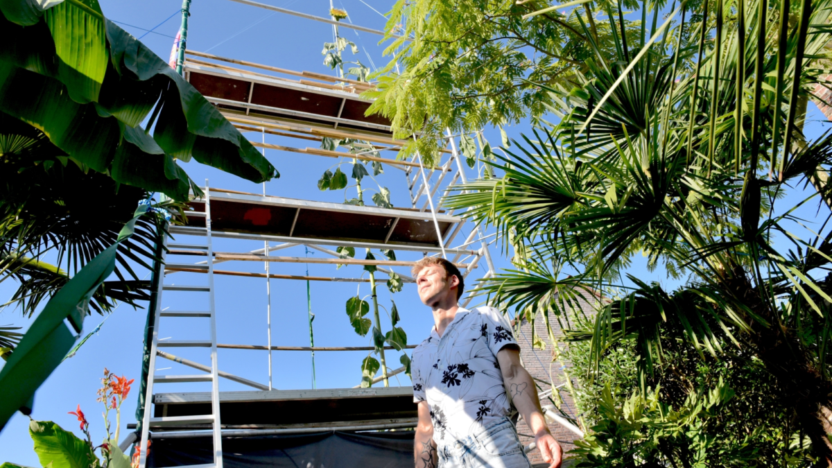 20250811 Jeroen zonnebloem record 1