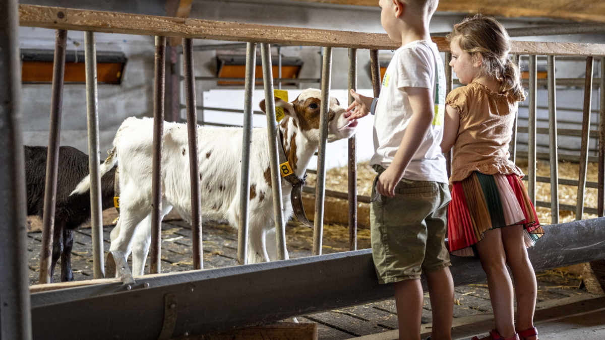 De Boer Op Wierden 2025