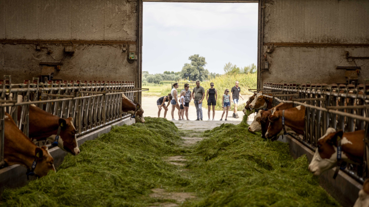De Boer Op Wierden 2025
