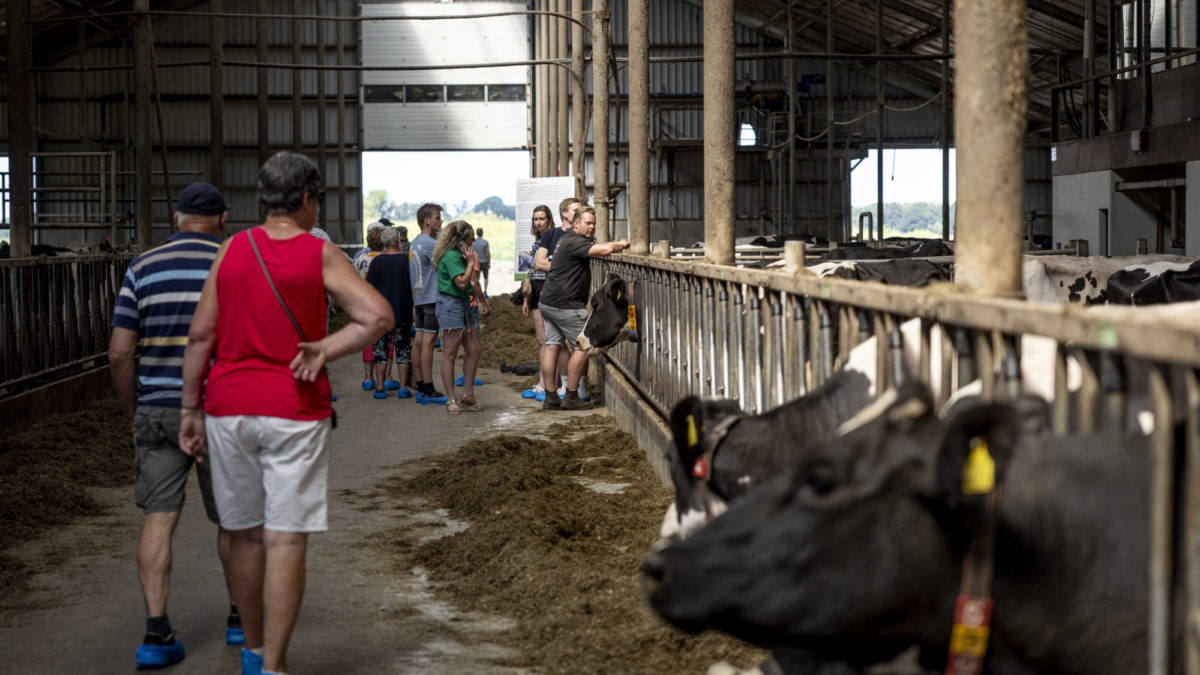 De Boer Op Wierden 2025