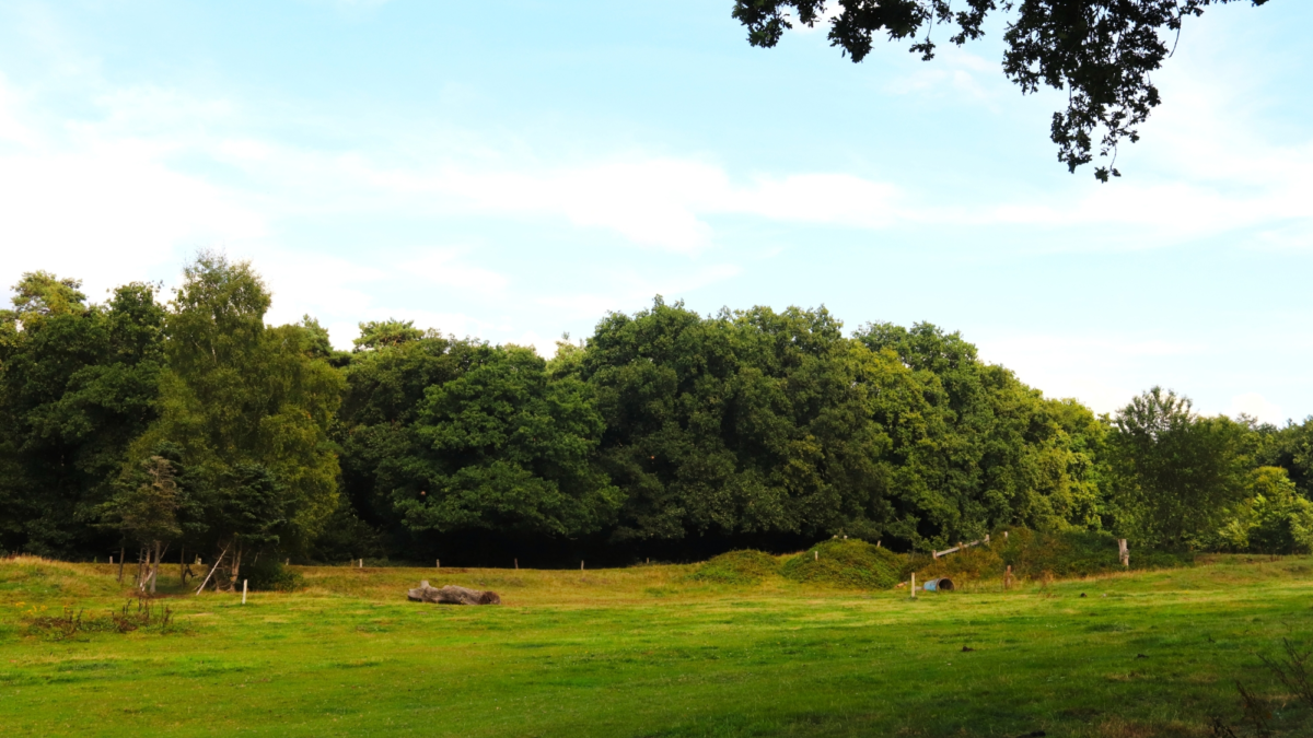 Huttenkloas Toetersdennen