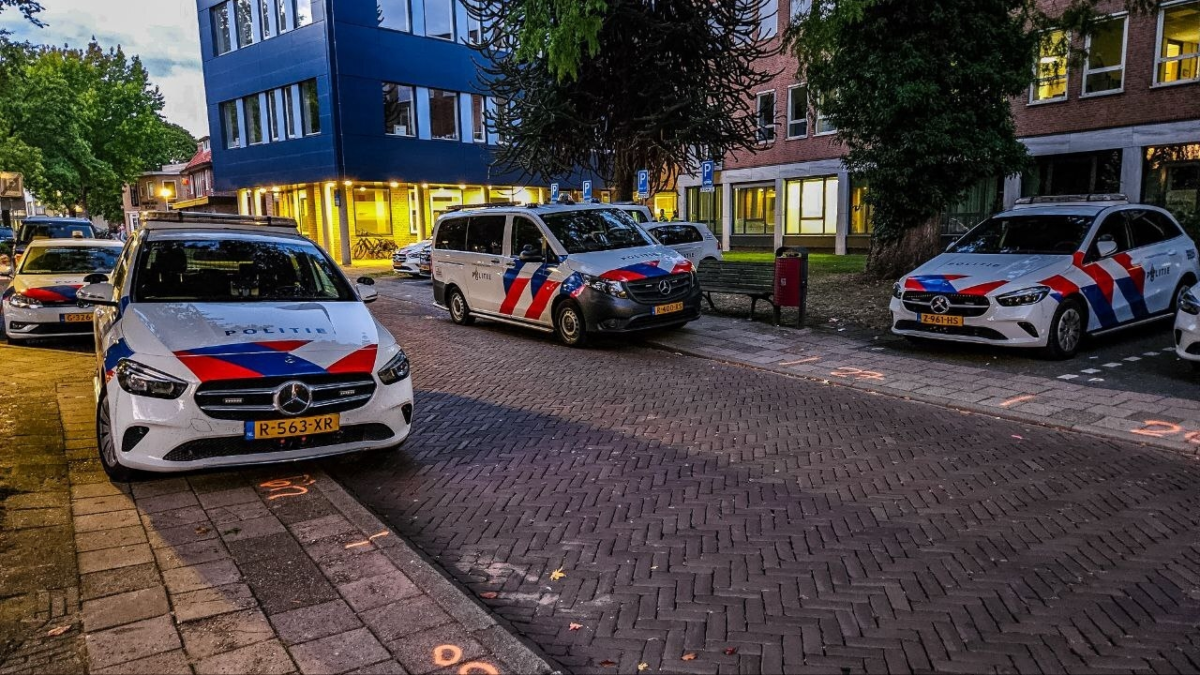 Losser 2025 brueghel 02