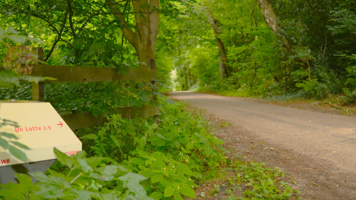 Omgevingsvisie rondweg Tankenberg 1