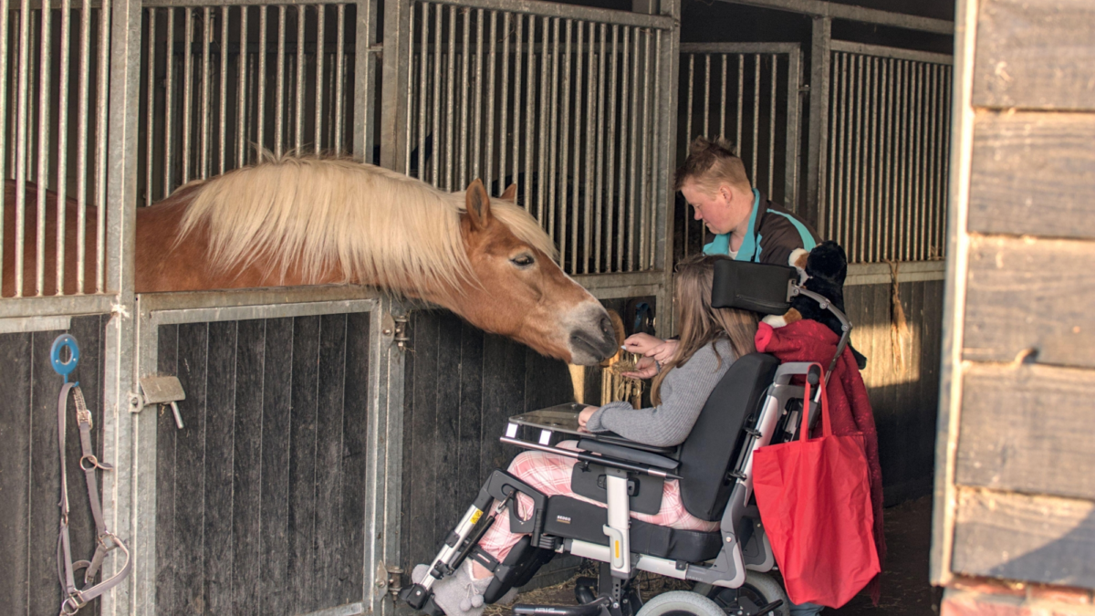 Whats App Image 2025 08 28 at 10 34 37