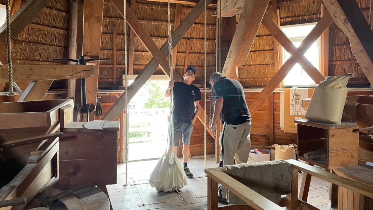 20250827 molen lattrop foto gerda minkjan 2911