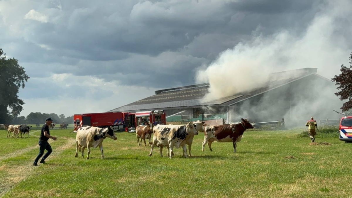 Saasveld 20250830 01