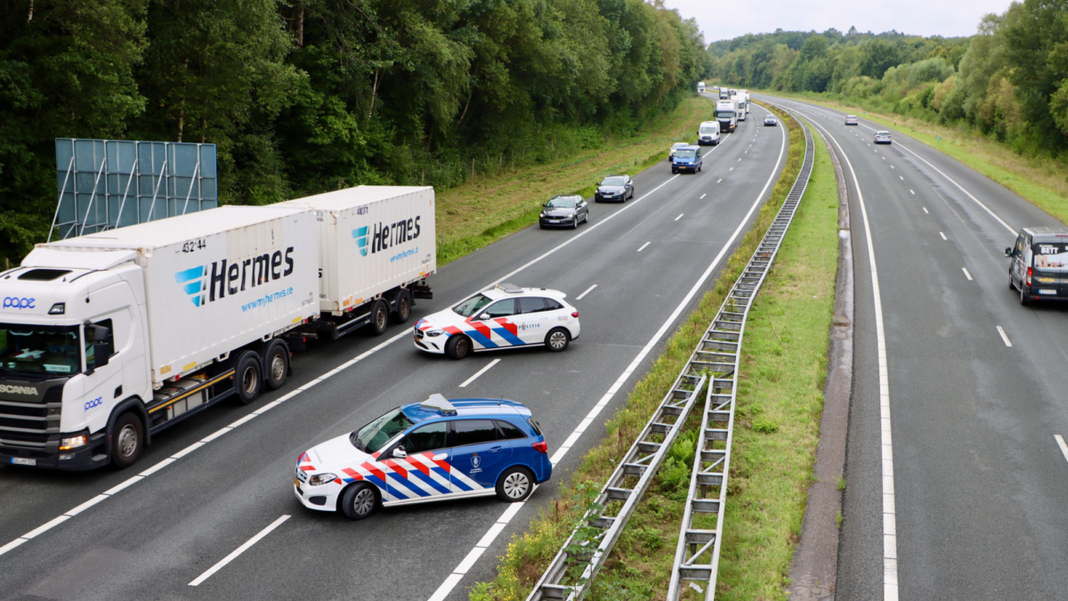 De Lutte 20250901 01