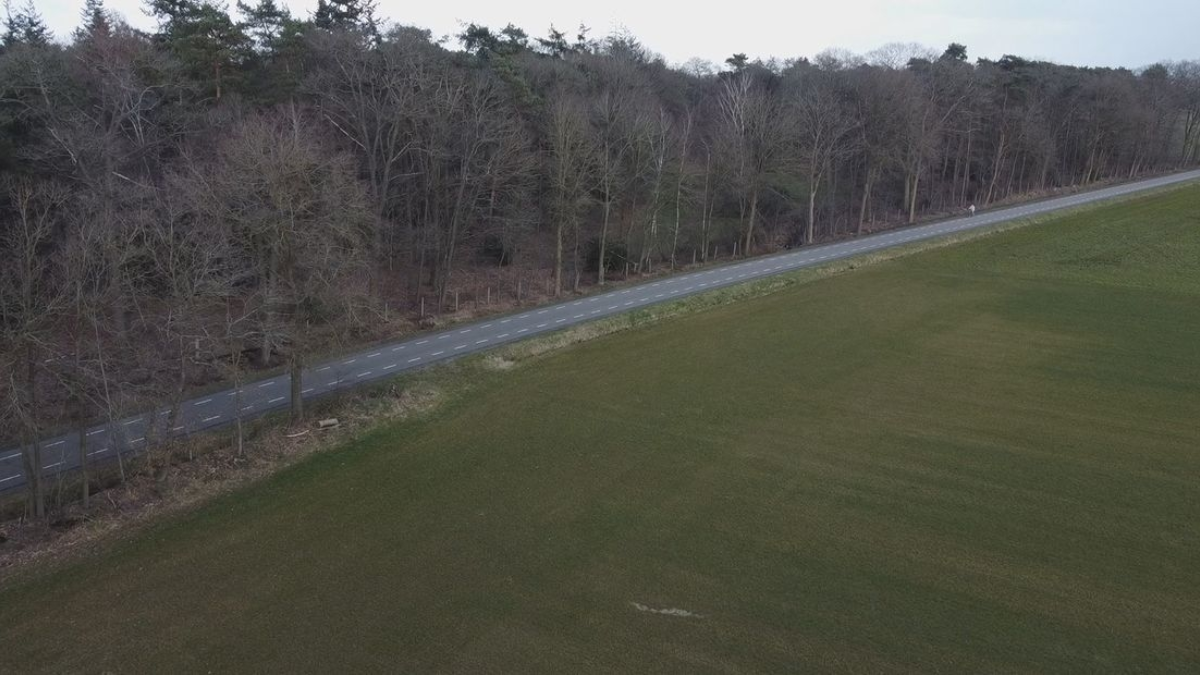 Oost weiland verkrachting