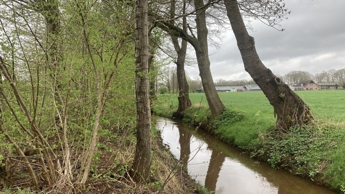 Geestersche Molenbeek Vechtstromen