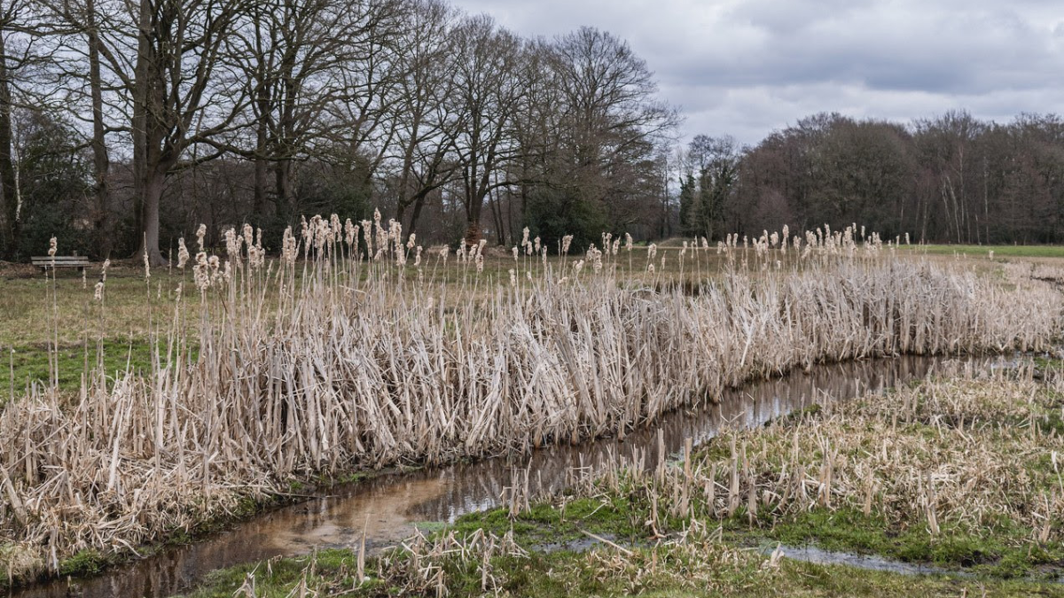 Springendal