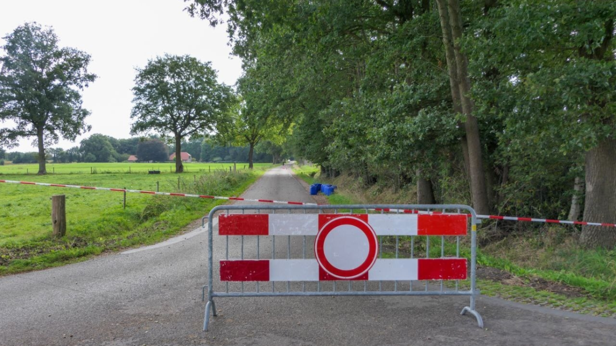 Axk Dhc Y3t Aq S photo 2025 09 20 13 14 58