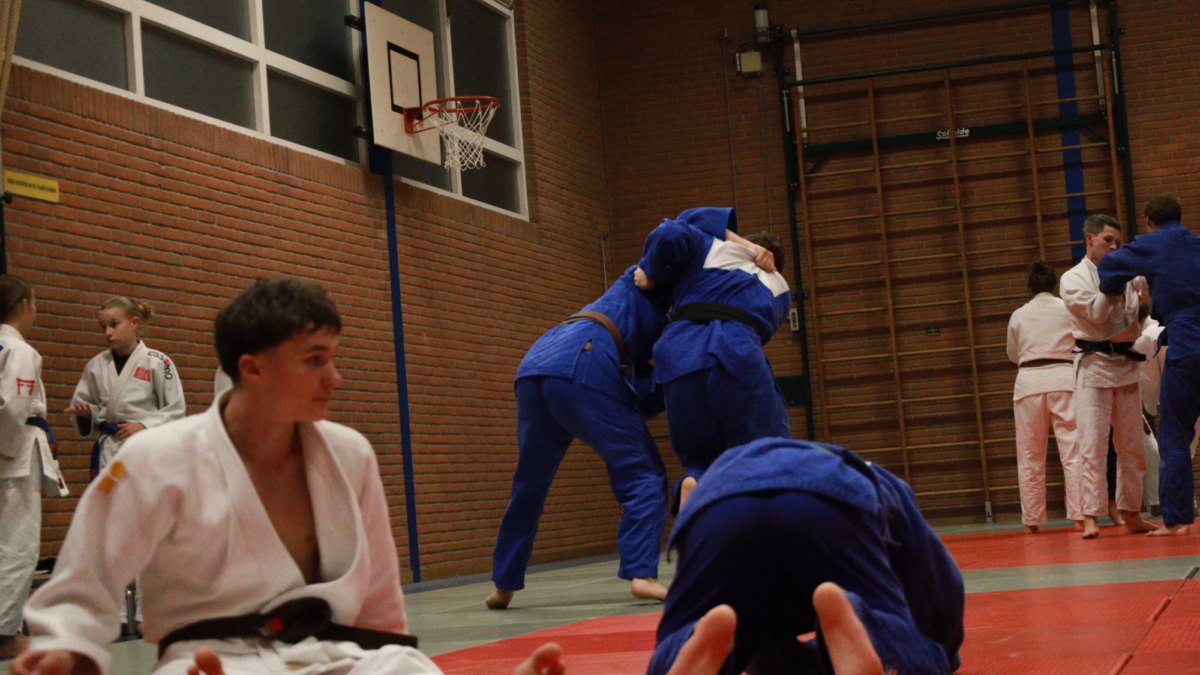 judo linde6