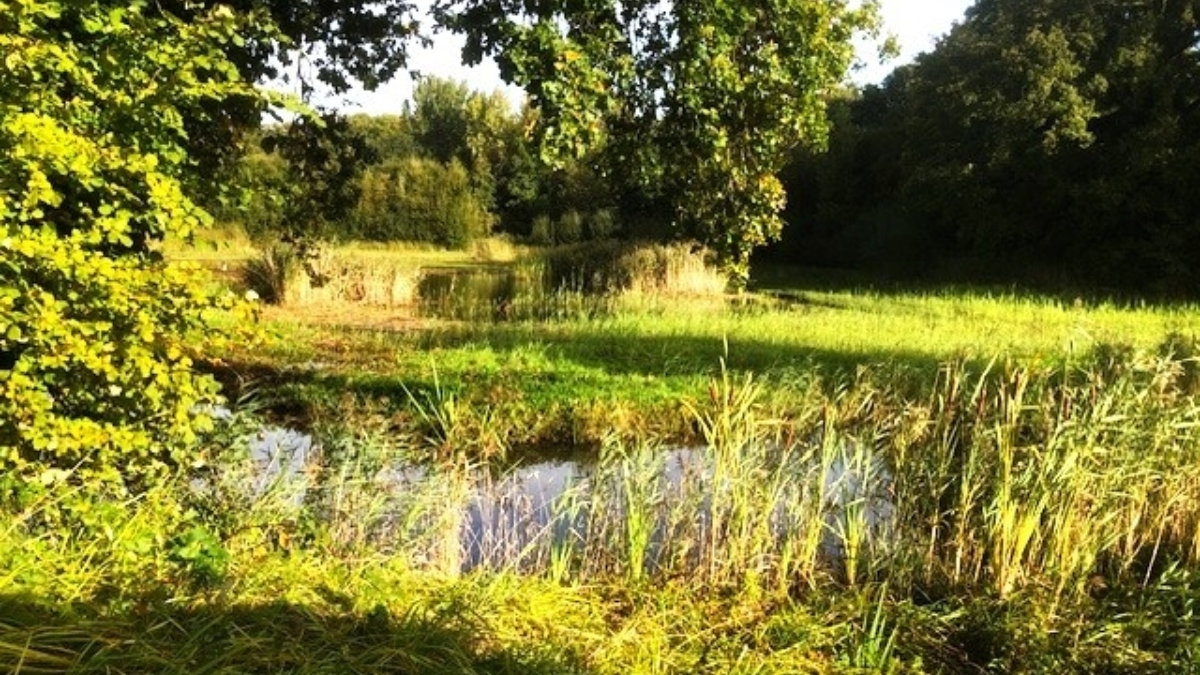 Waterhuishouding waterberging Graven Es