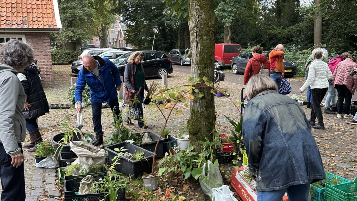 Hoofdfoto Najaarsplantenruil