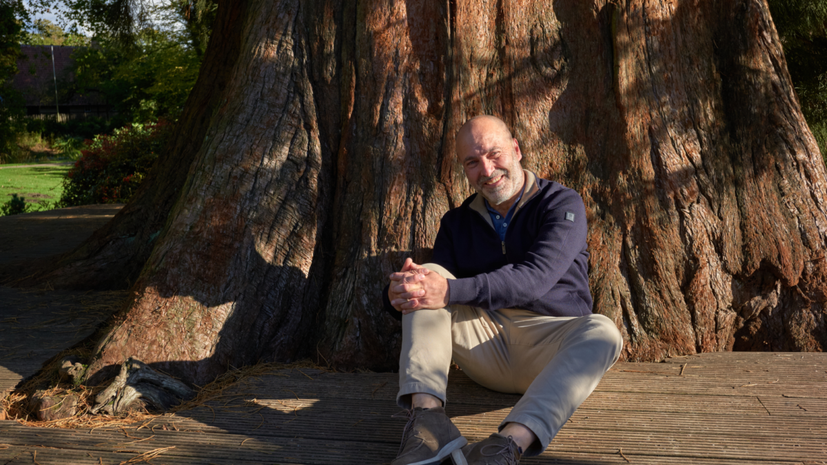 Olaf Visscher - mammoetboom - Ledeboerpark