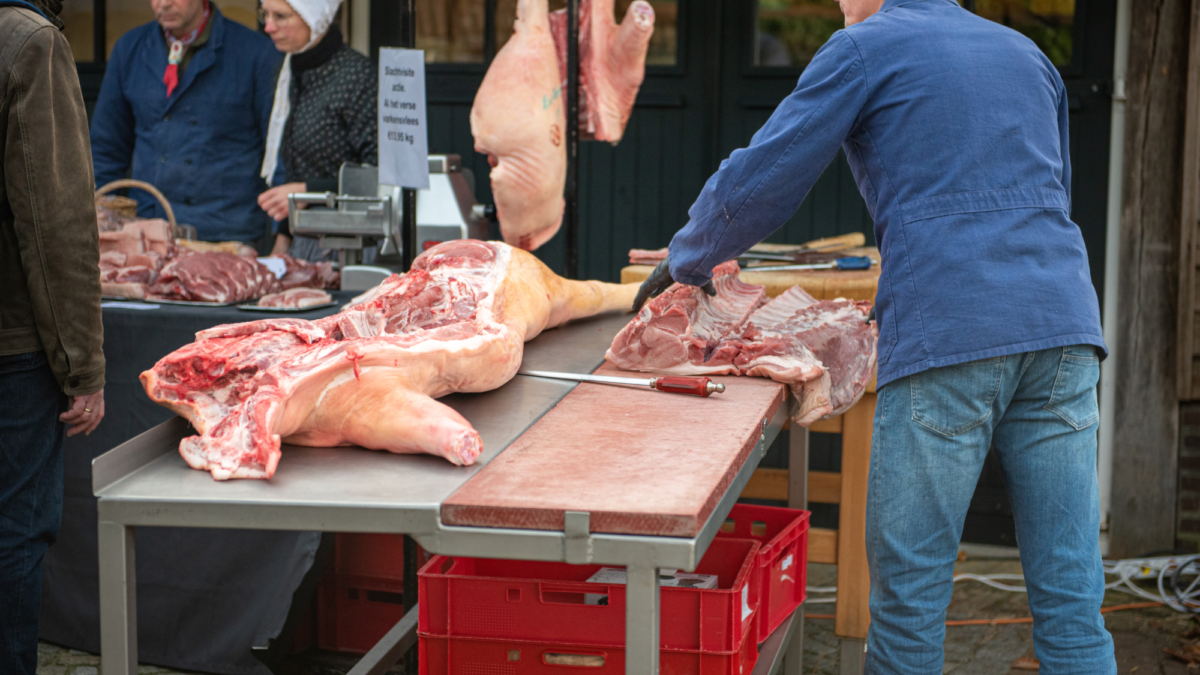 SLACHTVISITIE ENTER 2025111220251112 751 8661 Niels Wesselink