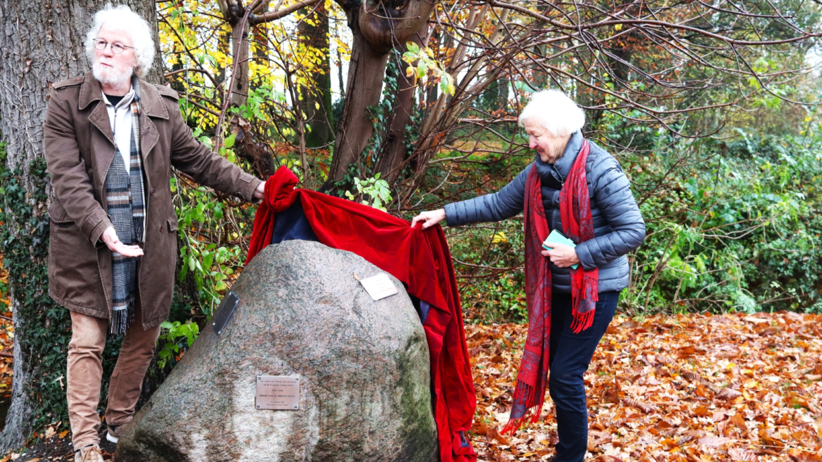 Kreenk onthulling steen