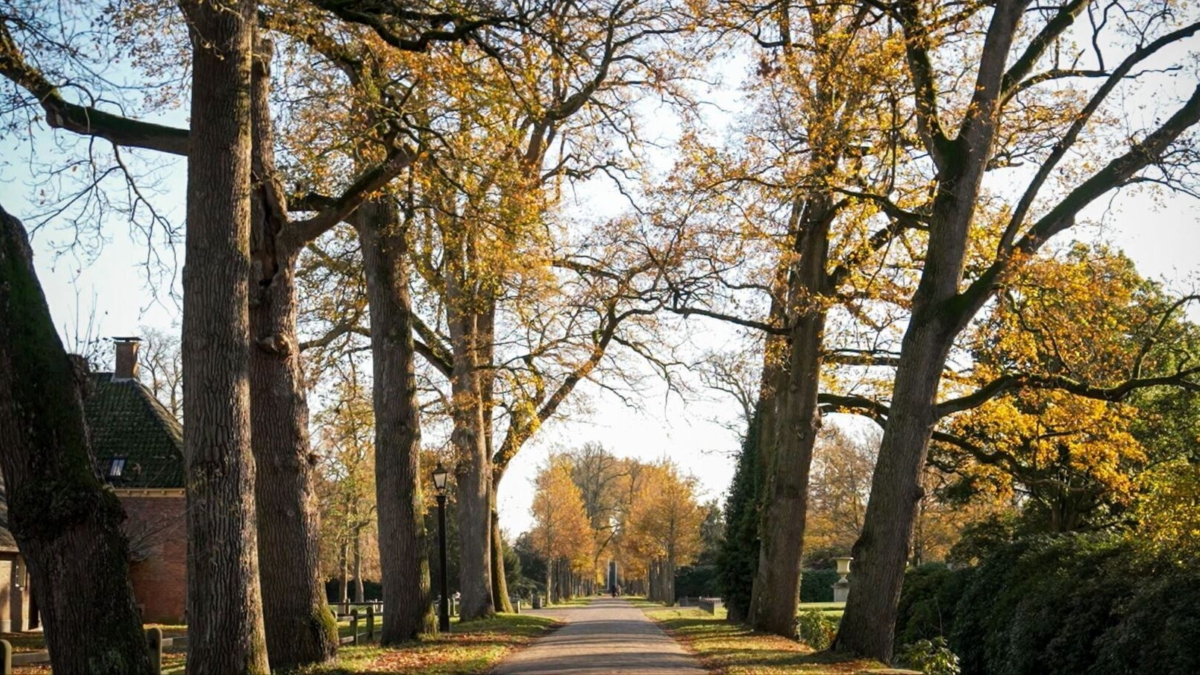 Foto laan twickel rtv oost