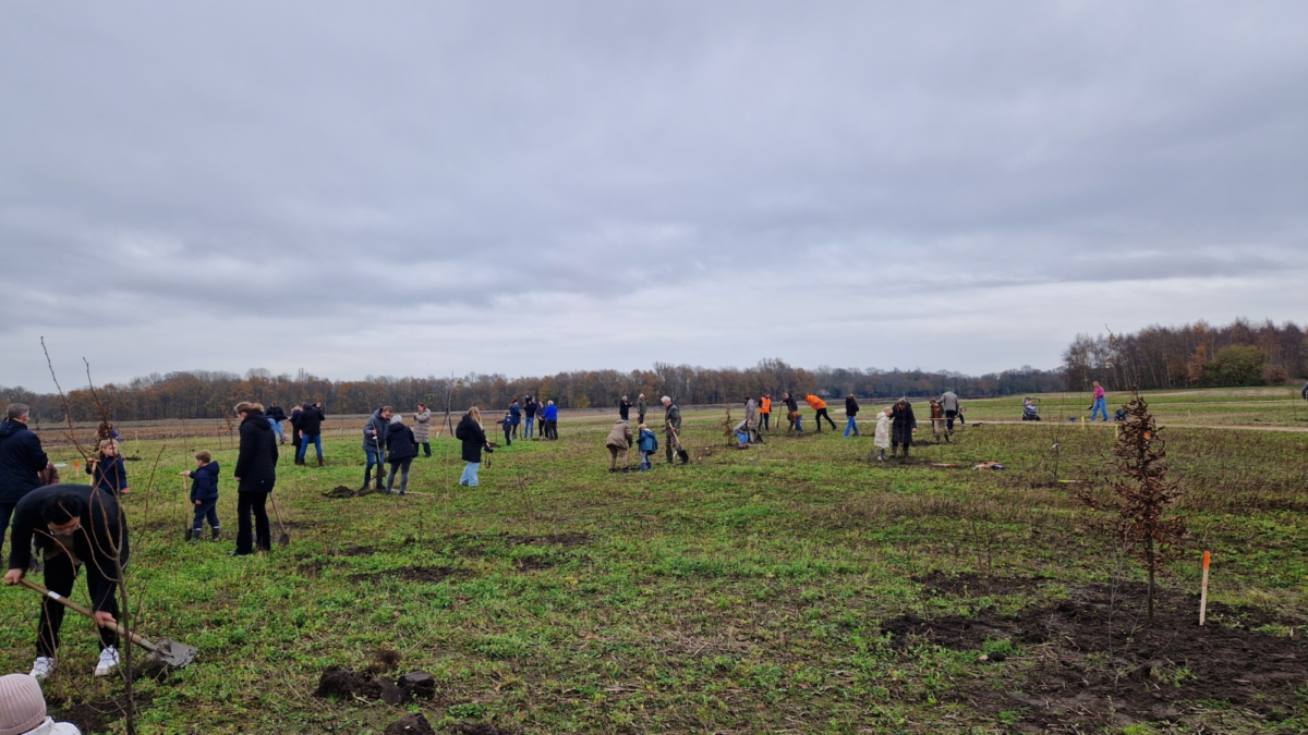 Kinderen met ouders druk aan het planten
