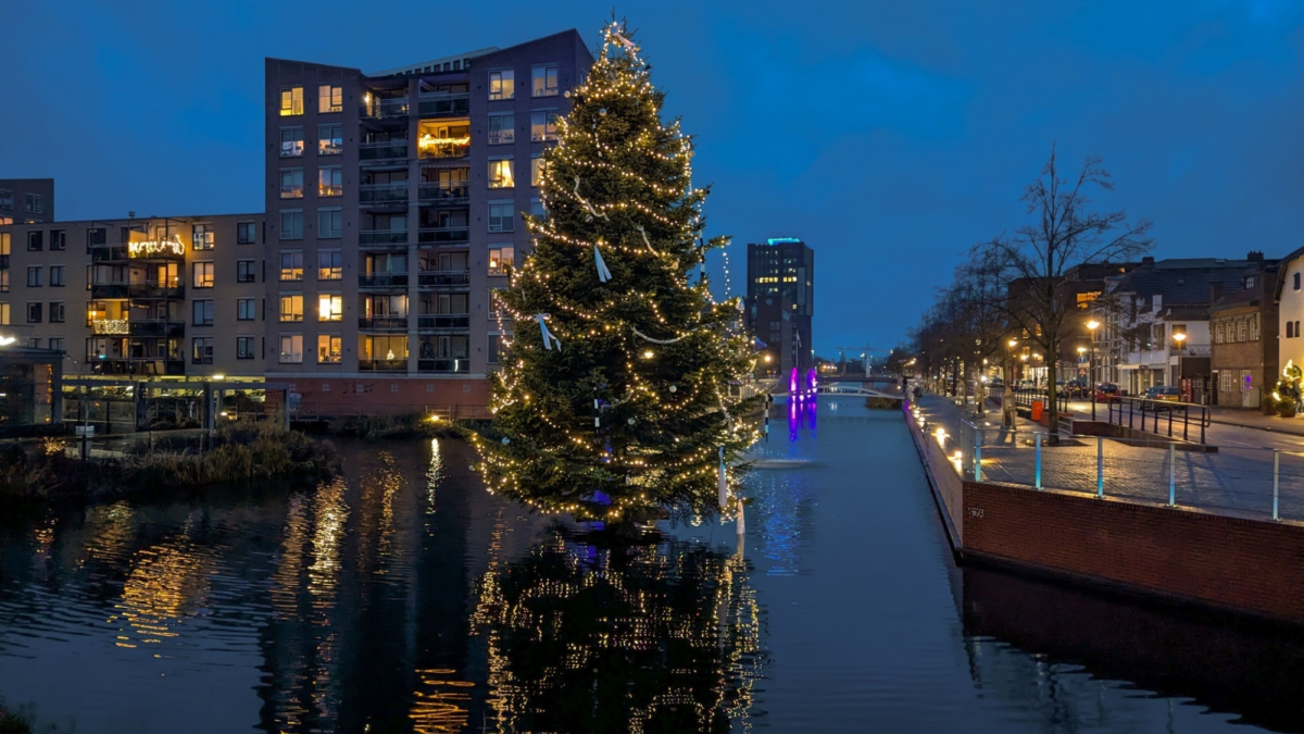 Kerstboom voor Kreta