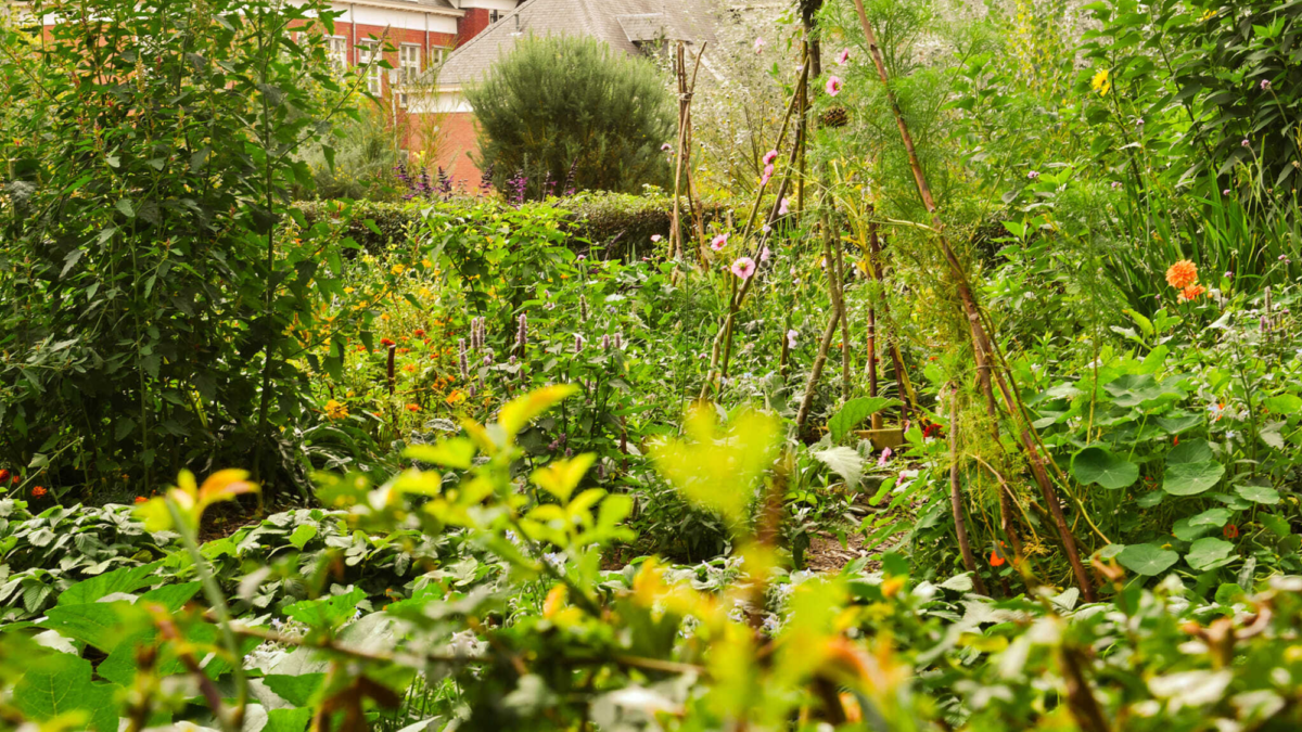 20251228 natuurhus almelo